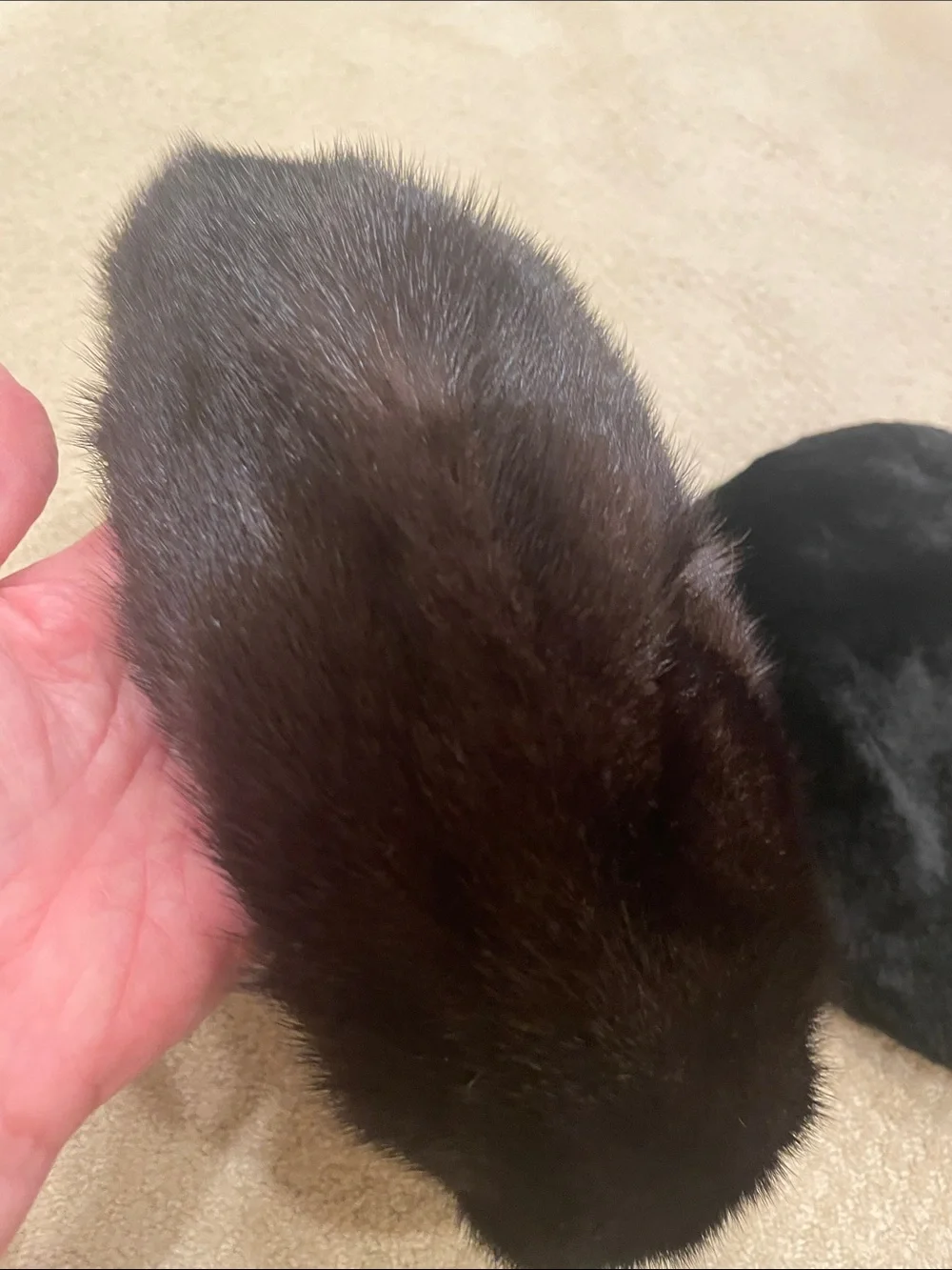 Vintage fur hats from 1950 - Picture 2 of 5